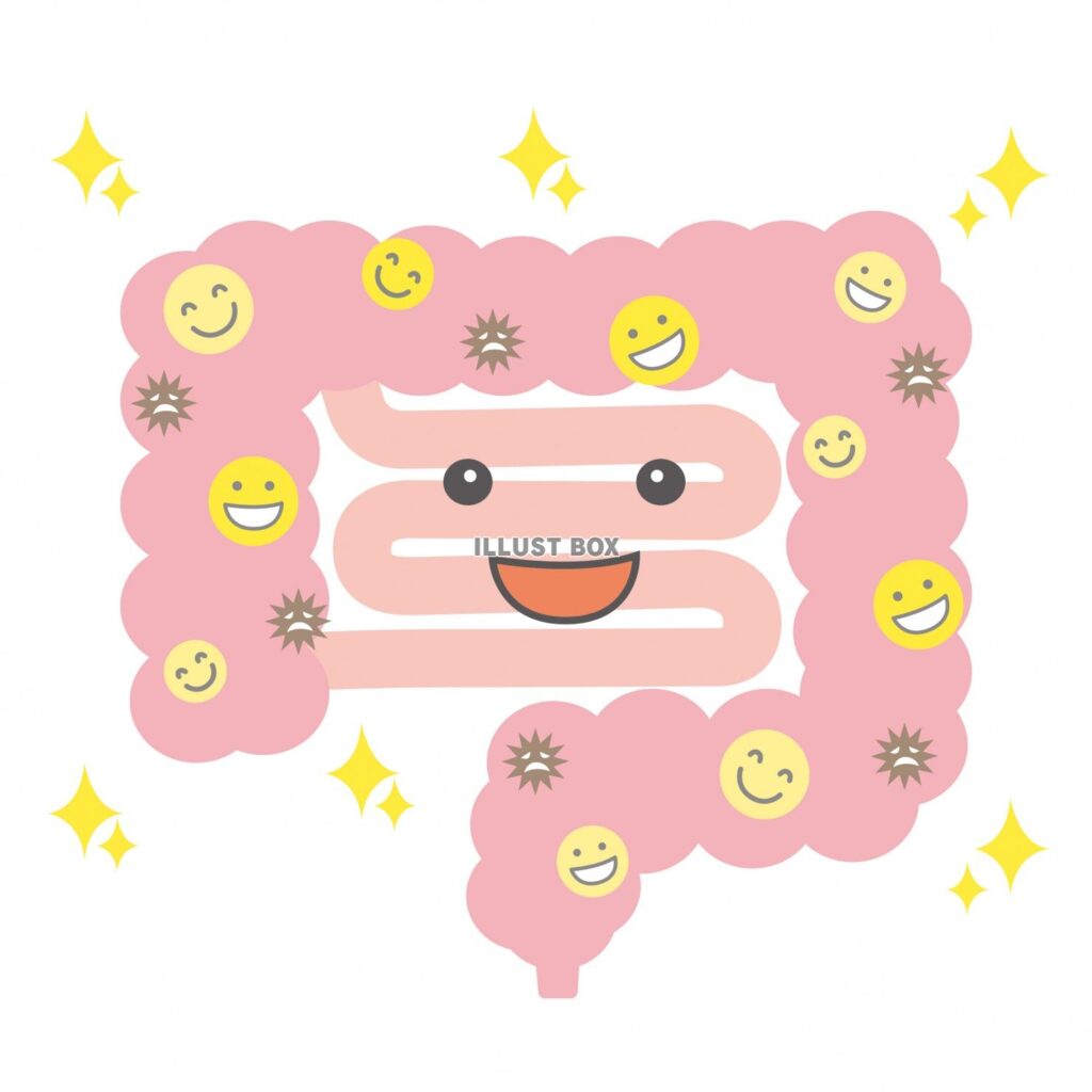 腸活①